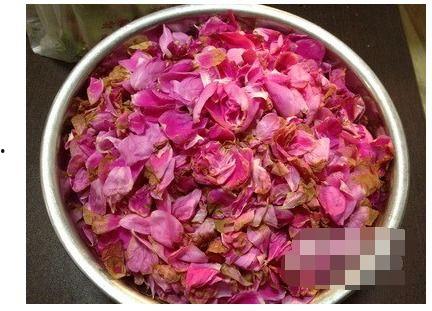 娱乐吃瓜酱带刺的玫瑰,揭秘带刺玫瑰背后的故事